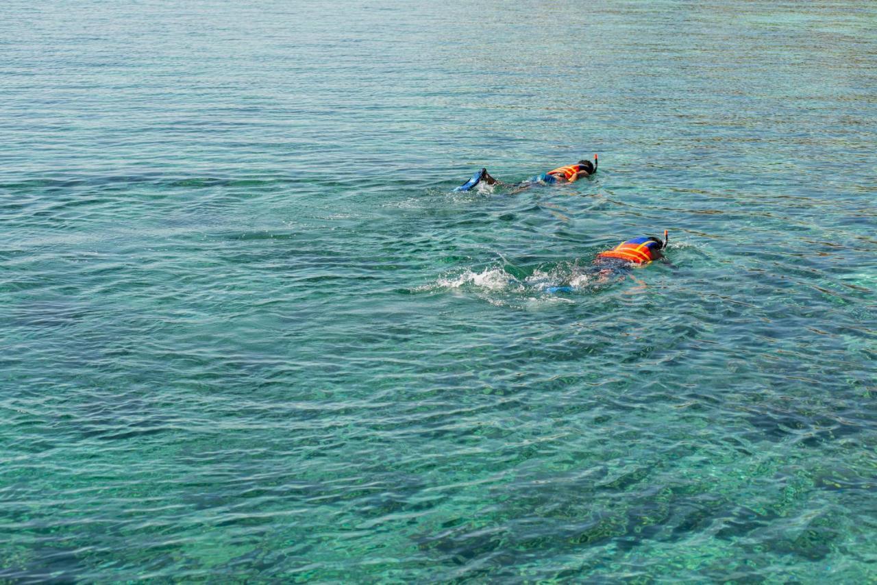 The Seraya Komodo